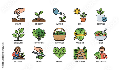 Icon set: gardening stages and healthy living concepts