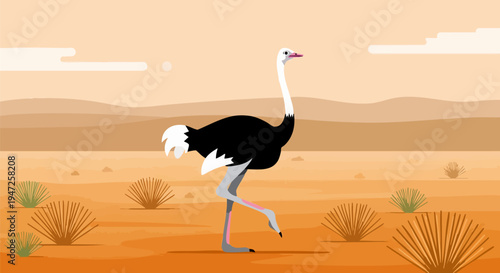 Flat design vector illustration of a large black and white ostrich walking across a dry, sandy desert landscape with sparse bushes and hills under an orange sky
