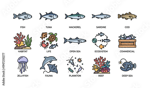 Illustrated marine life icons featuring fish, jellyfish, and coral reefs