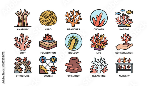 Illustrated coral reef icons depicting anatomy, growth, biology, and conservation