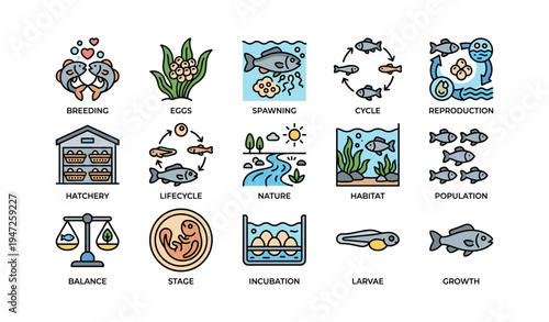 Fish lifecycle diagram: breeding, incubation, growth in aquatic environments