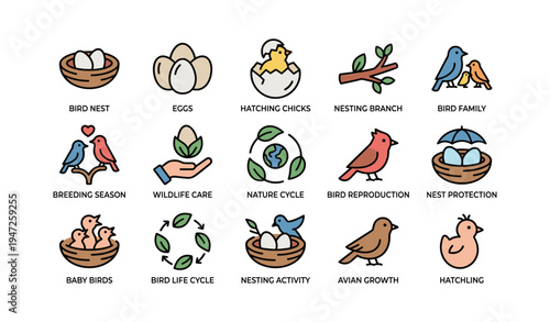 Colorful symbols of bird life cycle and wildlife care elements