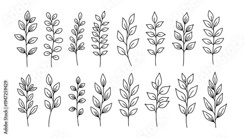 Assorted handwritten mathematical and chemical symbols on a white background Vector