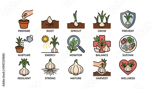 Stages of plant growth and wellness icons with garlic and gardening symbols