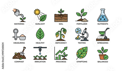 Gardening growth stages and essential factors illustrated
