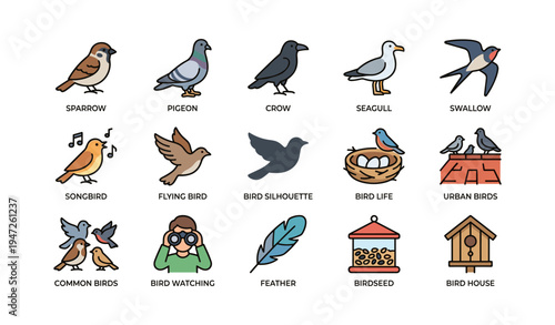 Colorful bird icons featuring sparrow, crow, seagull, and swallow illustrations