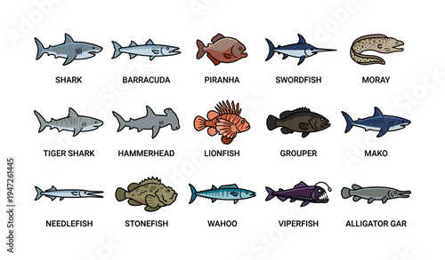 Cartoon illustrations of various fish species including shark, barracuda, piranha, and more