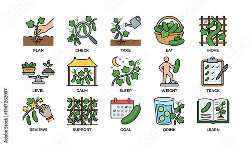 Illustrated guide to growing and caring for cucumber plants