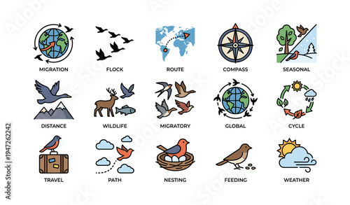 Icons of bird migration, global routes, wildlife and seasonal patterns in colorful design