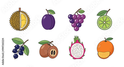 Colorful fruit collection on white background