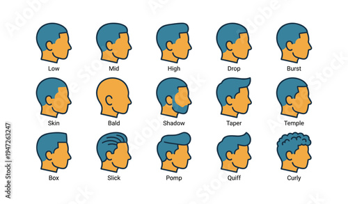 Diverse male haircut styles: low, mid, high, bald, curly, and more - side profile illustrations
