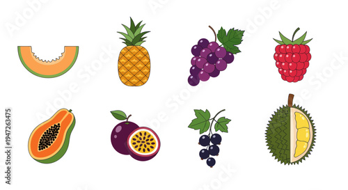 Colorful illustrated assortment of tropical fruits