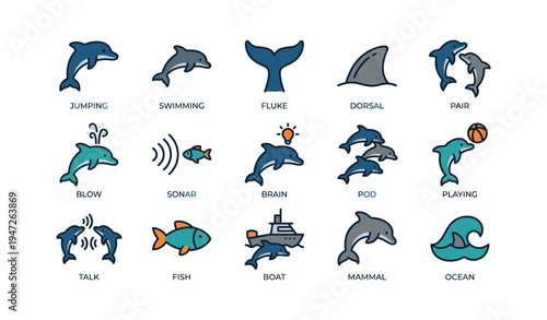 Various dolphin activities and icons illustrating marine themes