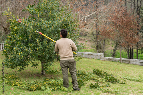 Obraz na plátně A man demonstrates the use of a high-reach manual pruner to maintain tree health in an ecological backyard
