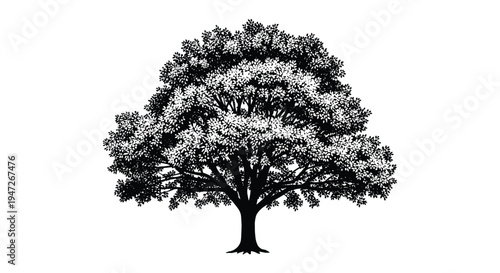 Solid black silhouette of a large spreading tree with detailed branches and thick foliage against a plain background.