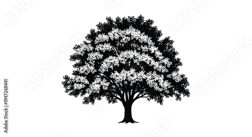 Highly detailed black and white silhouette of a large deciduous tree with a very wide canopy and thick trunk structure.