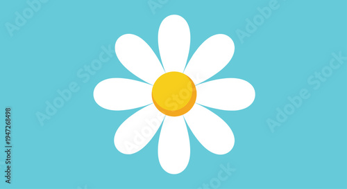 Beautiful white daisy flower with a bright yellow center isolated on a clear light blue background for summer season.