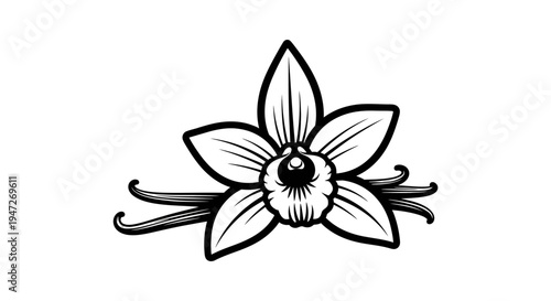 Vanilla Flower and Pods Black and White Illustration