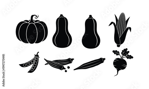 Illustrated collection of autumn and summer vegetables and crops