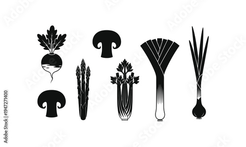 Illustrations of various root vegetables and fungi commonly used in cooking