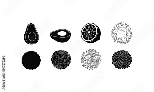 Cross-sectional illustrations of various fruits and seeds with intricate internal structures
