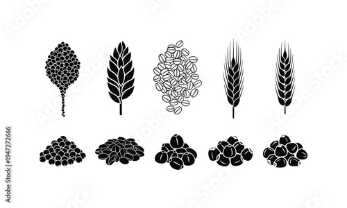 Illustrations of various grains and their harvested forms in black and white