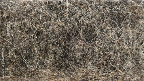 Extreme close-up of a natural felted texture. A chaotic web of dark gray, white, and beige wool fibers creates a dense, abstract background. Soft, even lighting highlights the material's surface.