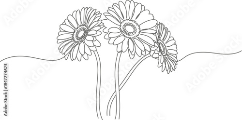 A line drawing of three dandelion flowers with stems and leaves