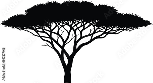 Acacia tree silhouette illustration with flat canopy, African savanna landscape vector art design concept for stock content submission