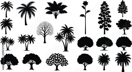 Black tree and plant silhouettes vector illustration showing diverse species, palm, conifer, deciduous, flowering foliage, isolated decorative design
