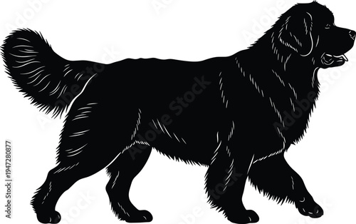Large dog silhouette walking with bushy tail, furry coat detail, vector illustration design concept for animal artwork themes