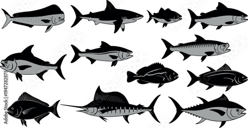 Black and gray fish vector silhouettes showing diverse species, side profiles, unique fins and tails, arranged neatly on white background