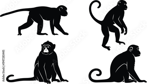 Monkey silhouette illustration with walking, standing, sitting poses, curled tails, animal behavior vector art design concept for stock content