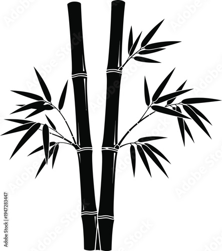 Bamboo plant with stems and leaves