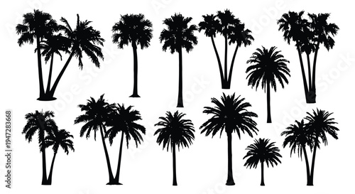 A collection of black palm tree silhouettes against a white background, ideal for use in designs requiring tropical or nature themes.