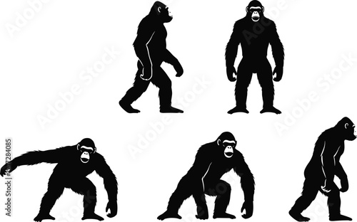 Gorilla silhouette vector illustration with diverse standing and walking poses, wildlife concept, animal behavior, primate anatomy, nature, jungle, conservation, strength, power