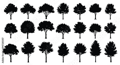 A collection of black tree silhouettes in various shapes and sizes on a clean white background, ideal for use in graphic design, illustrations, or as nature icons.