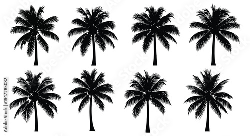 A set of black palm tree silhouettes against a white background, ideal for use in designs requiring tropical or nature themes.