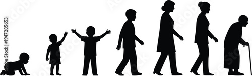 Silhouettes of human life stages from infancy to old age, vector illustration showing growth, aging, development, generational progression artwork