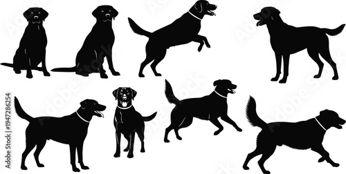 Black silhouette vector illustration of Labrador dogs in diverse poses, sitting, standing, running, jumping, collars visible, dynamic canine motion artwork