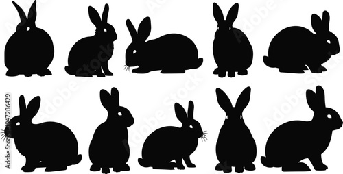 Rabbit silhouettes in diverse poses, animal illustration, wildlife design concept, nature diversity theme, classification symbol, artistic representation