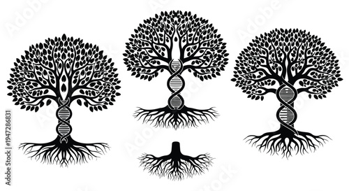 Black and white illustration of a tree in four stages of growth on a white background.