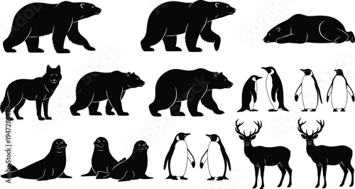 Wildlife animal silhouettes, bear wolf penguin seal deer, black white artwork, nature posture illustration, stylized figure collection, educational design set