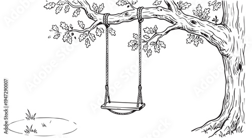 A simple swing hanging from a tree branch over a small patch of grass