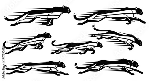 Black panther running in motion sequence.