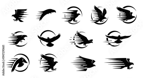 Black silhouettes of flying birds motion.