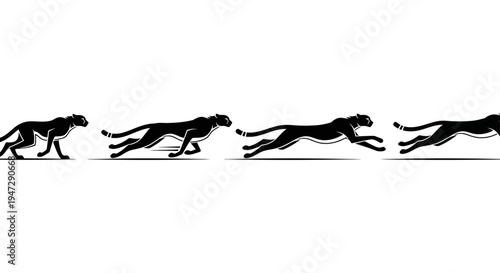 Black silhouette of running cheetahs sequence.