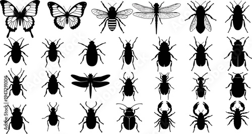 Set of Insect Silhouettes Including Butterfly Bee Dragonfly and Various Beetles Isolated on White Background for Nature Conservation Wildlife Education and Graphic Design