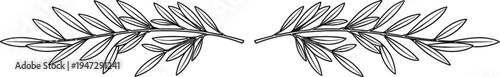 a black and white drawing of two olive branches that are symmetrical and facing each other on a plain white background
