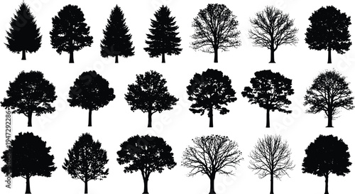Collection of tree silhouette vector illustration, diverse botanical shapes, seasonal variations, decorative black artwork, natural forest design, artistic composition